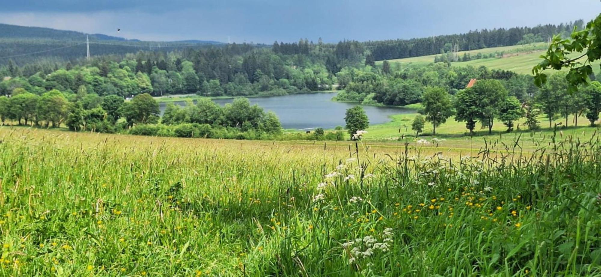 Mai-Ferienhaus-Harz 210Qm クラウスタール・ツェラーフェルト エクステリア 写真