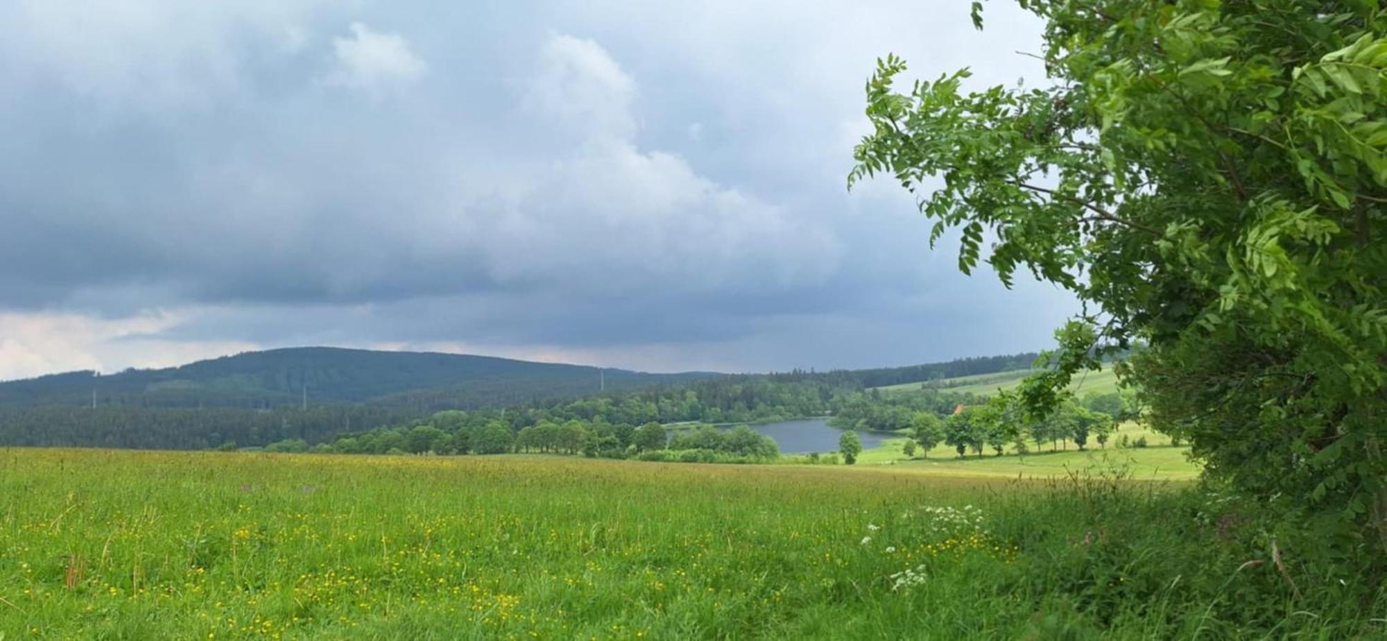 Mai-Ferienhaus-Harz 210Qm クラウスタール・ツェラーフェルト エクステリア 写真